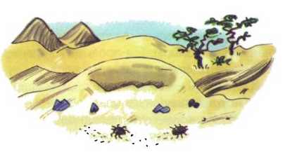 Иллюстрация к книге — Сурикаты-сумасброды. Невероятно смешные приключения в пустыне [i_022.jpg]