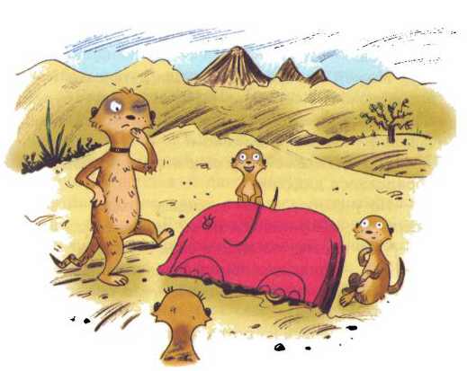 Иллюстрация к книге — Сурикаты-сумасброды. Невероятно смешные приключения в пустыне [i_031.jpg]