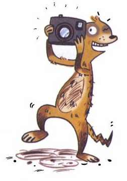 Иллюстрация к книге — Сурикаты-сумасброды. Невероятно смешные приключения в пустыне [i_033.jpg]