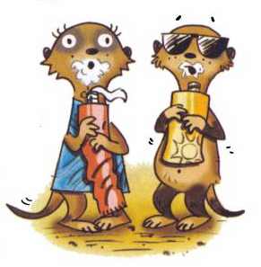 Иллюстрация к книге — Сурикаты-сумасброды. Невероятно смешные приключения в пустыне [i_035.jpg]