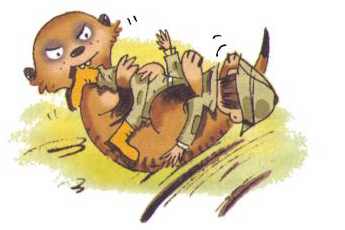 Иллюстрация к книге — Сурикаты-сумасброды. Невероятно смешные приключения в пустыне [i_039.jpg]