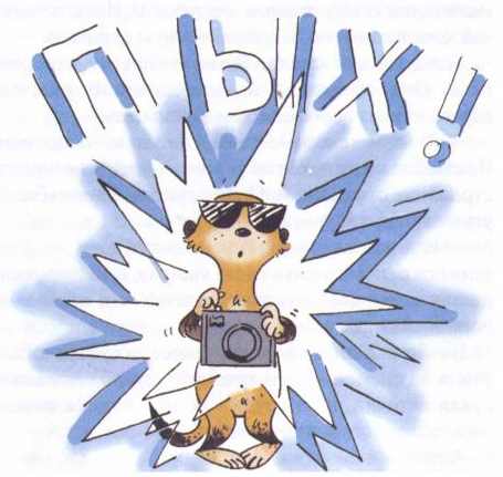 Иллюстрация к книге — Сурикаты-сумасброды. Невероятно смешные приключения в пустыне [i_044.jpg]