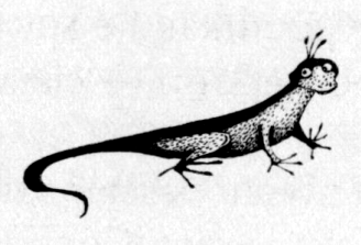 Иллюстрация к книге — Ямы [i_015.png]