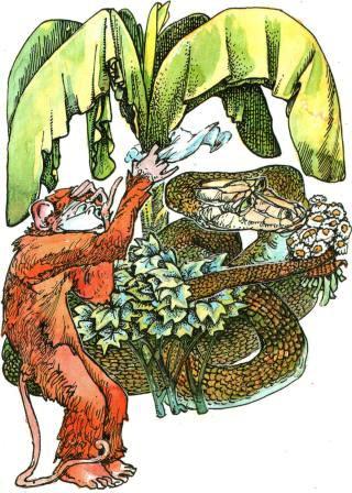 Иллюстрация к книге — Бабушка удава [i_017.jpg]