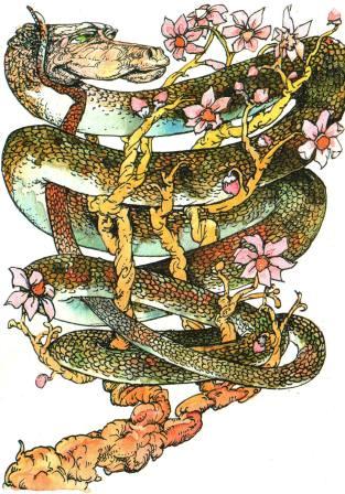 Иллюстрация к книге — Бабушка удава [i_019.jpg]