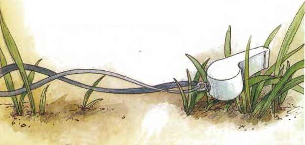 Иллюстрация к книге — Дракоша выходит в люди [i_018.jpg]