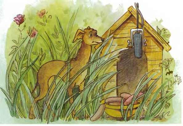 Иллюстрация к книге — Дракоша выходит в люди [i_023.jpg]