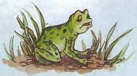 Иллюстрация к книге — Дракоша выходит в люди [i_036.jpg]