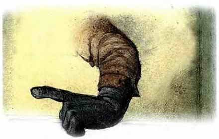 Иллюстрация к книге — Самые страшные ужасы [i_056.jpg]