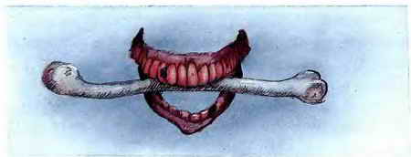 Иллюстрация к книге — Кошмарные ужасы [i_011.jpg]