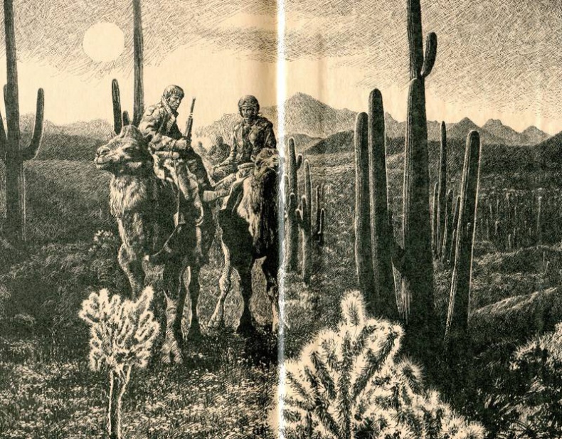 Иллюстрация к книге — Легенда сумасшедшего [i_001.jpg]