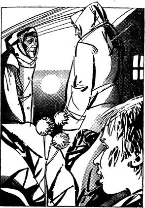 Иллюстрация к книге — Кухтеринские бриллианты [pic_3.jpg]