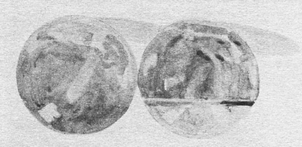 Иллюстрация к книге — Тернер [i_009.jpg]