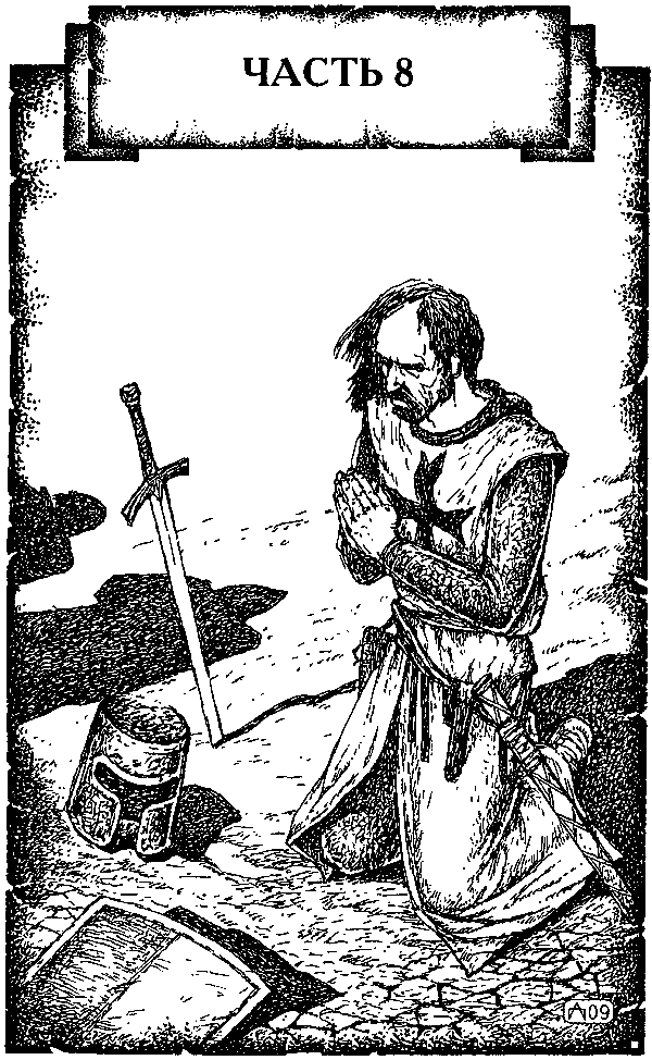Иллюстрация к книге — Крестоносец. За Гроб Господень [i_013.png]