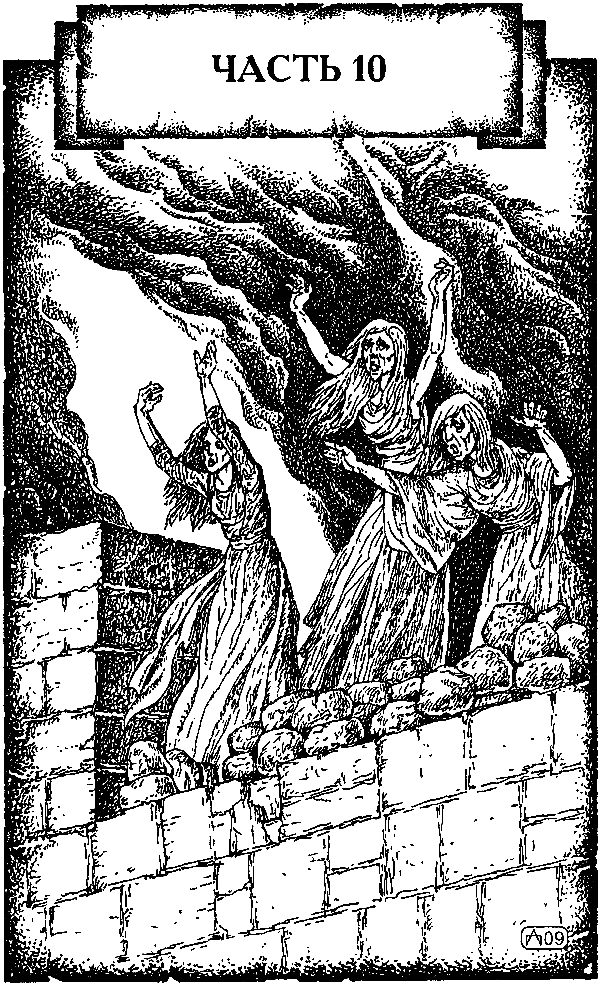 Иллюстрация к книге — Крестоносец. За Гроб Господень [i_015.png]