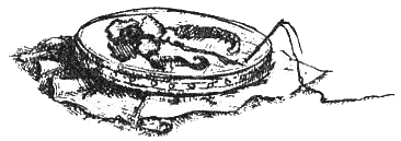 Иллюстрация к книге — Роковой бал [pic01.png]