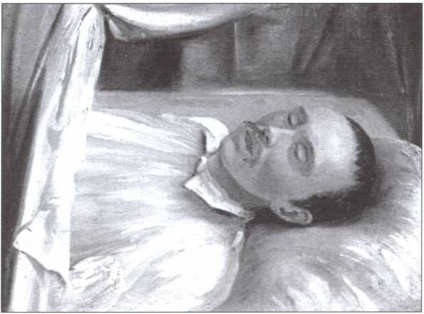 Иллюстрация к книге — Лермонтов [i_029.jpg]