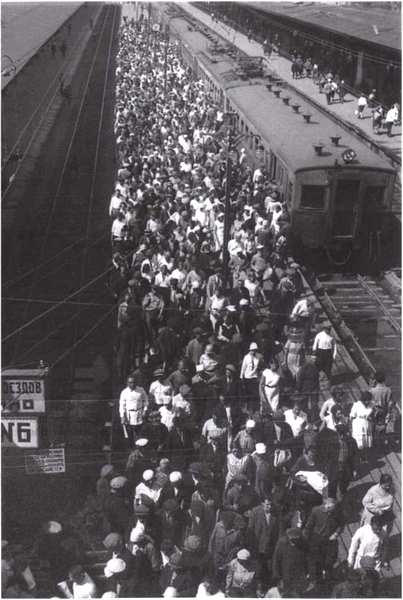 Иллюстрация к книге — Змееед [i_007.jpg]