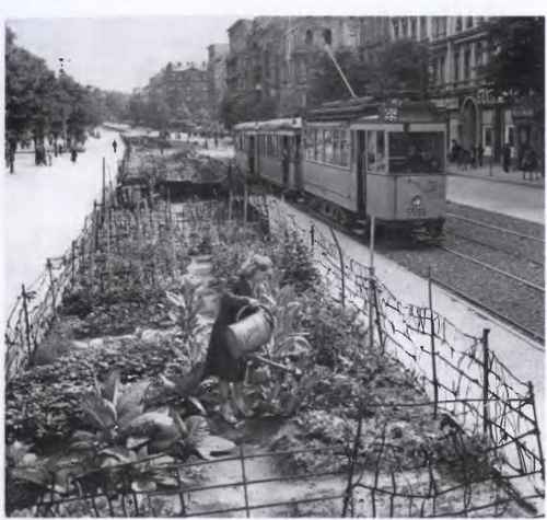 Иллюстрация к книге — Против всех [i_032.jpg]