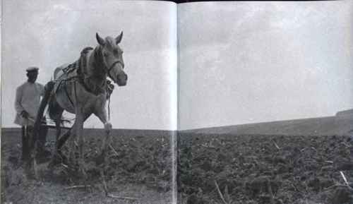 Иллюстрация к книге — Против всех [i_104.jpg]