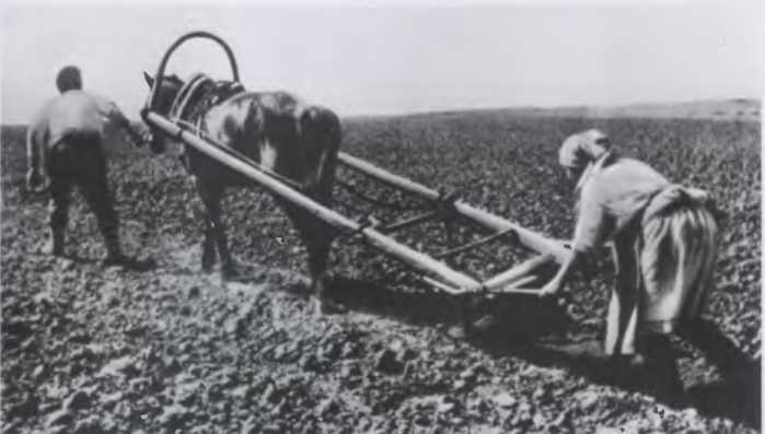 Иллюстрация к книге — Против всех [i_105.jpg]