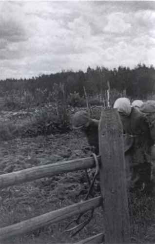 Иллюстрация к книге — Против всех [i_108.jpg]