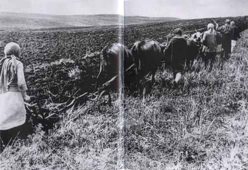 Иллюстрация к книге — Против всех [i_109.jpg]