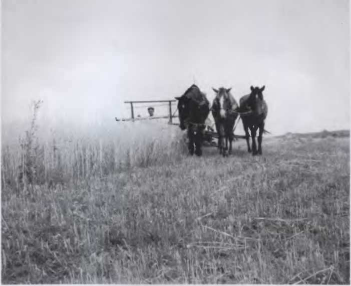 Иллюстрация к книге — Против всех [i_110.jpg]