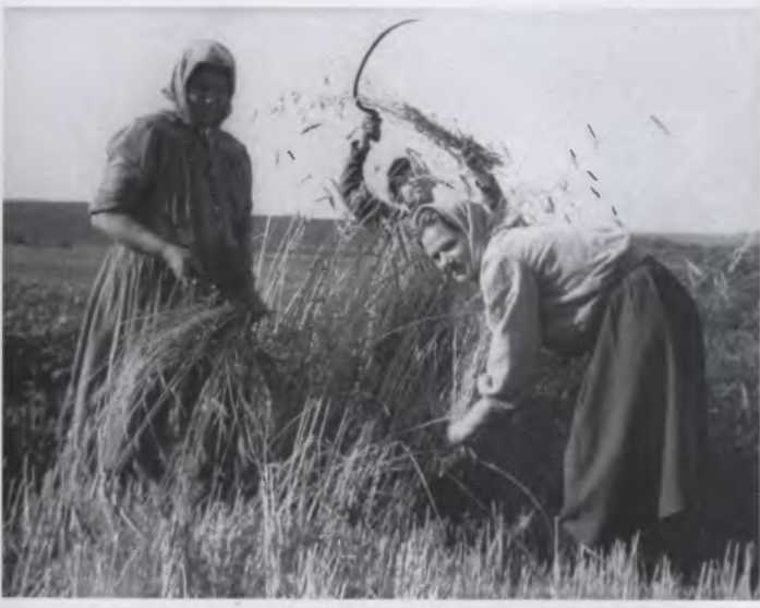 Иллюстрация к книге — Против всех [i_111.jpg]