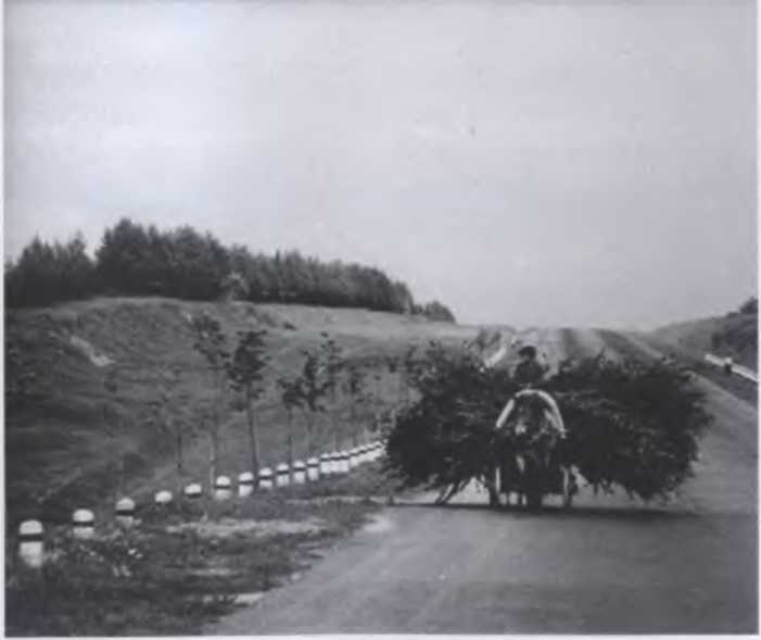 Иллюстрация к книге — Против всех [i_113.jpg]