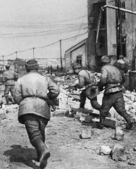 Иллюстрация к книге — Солдат по кличке Рекс [i_006.jpg]