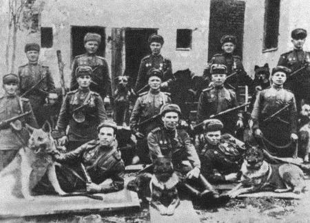 Иллюстрация к книге — Солдат по кличке Рекс [i_008.jpg]