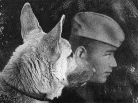 Иллюстрация к книге — Солдат по кличке Рекс [i_009.jpg]