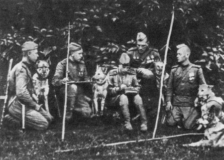 Иллюстрация к книге — Солдат по кличке Рекс [i_015.jpg]