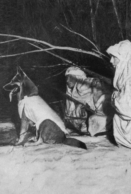 Иллюстрация к книге — Солдат по кличке Рекс [i_019.jpg]