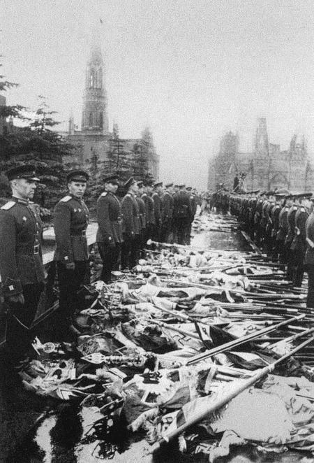 Иллюстрация к книге — Солдат по кличке Рекс [i_023.jpg]