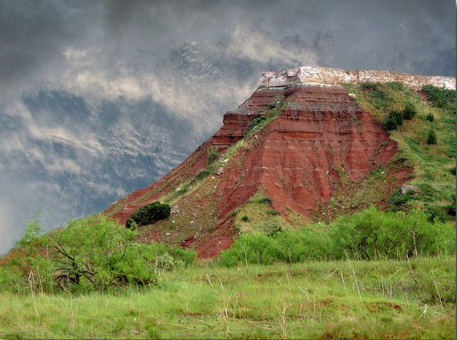 Иллюстрация к книге — След мустанга [i_002.jpg]