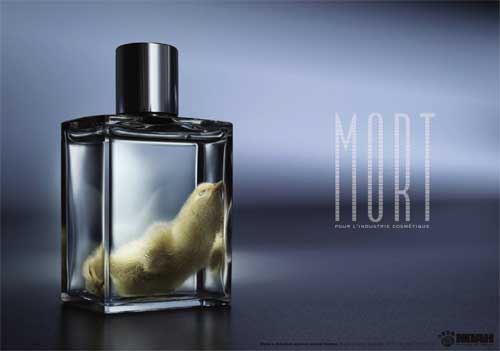 Иллюстрация к книге — Продавец мечты [i_009.jpg]