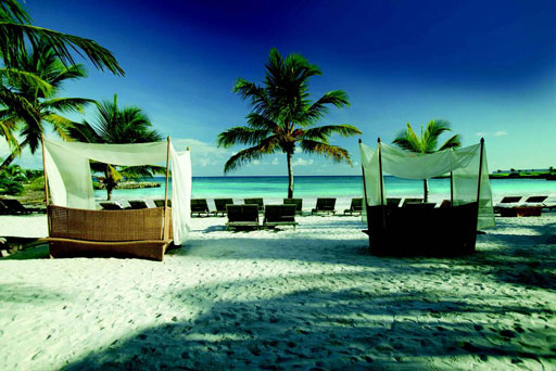 Иллюстрация к книге — Куда уходят львы [i_021.jpg]