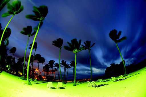 Иллюстрация к книге — Куда уходят львы [i_027.jpg]