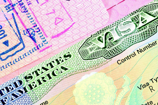 Иллюстрация к книге — Куда уходят львы [i_068.jpg]