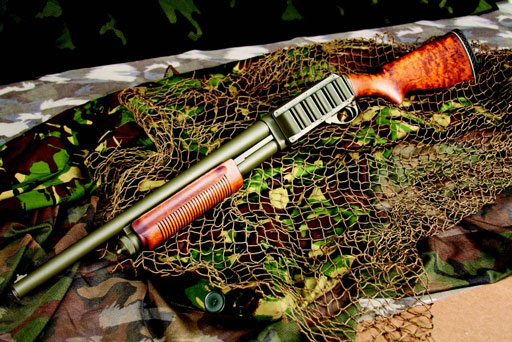 Иллюстрация к книге — Куда уходят львы [i_073.jpg]