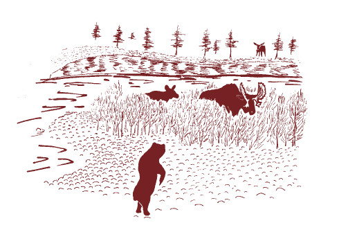 Иллюстрация к книге — Мохнатый бог [i_010.jpg]