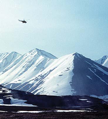 Иллюстрация к книге — Мохнатый бог [i_013.jpg]