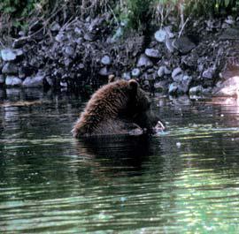 Иллюстрация к книге — Мохнатый бог [i_027.jpg]