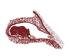 Иллюстрация к книге — Мохнатый бог [i_060.jpg]