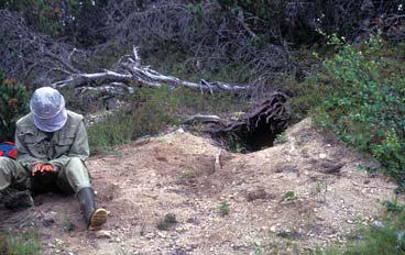 Иллюстрация к книге — Мохнатый бог [i_062.jpg]