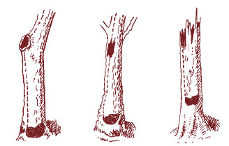 Иллюстрация к книге — Мохнатый бог [i_066.jpg]