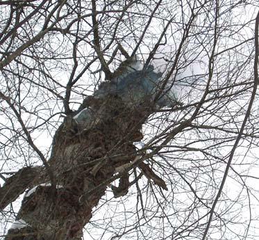 Иллюстрация к книге — Мохнатый бог [i_143.jpg]