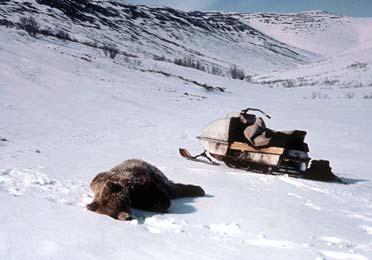 Иллюстрация к книге — Мохнатый бог [i_150.jpg]